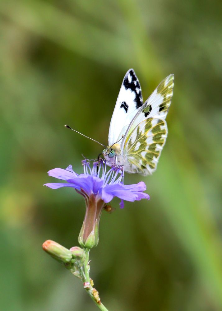 Photograph by Вася Кадочников