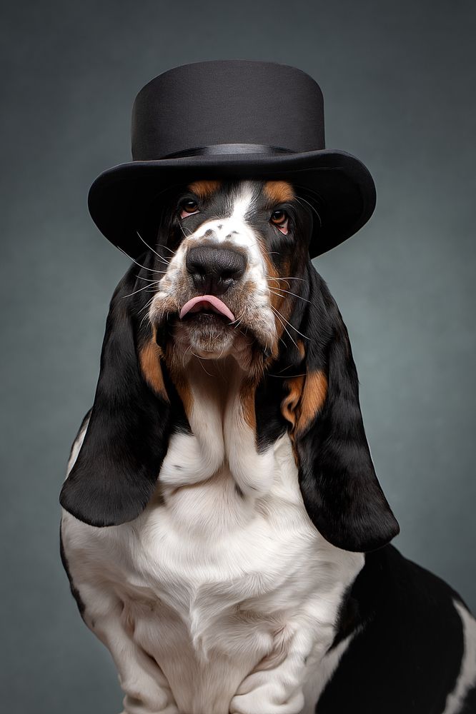 Photograph by Светлана Писарева