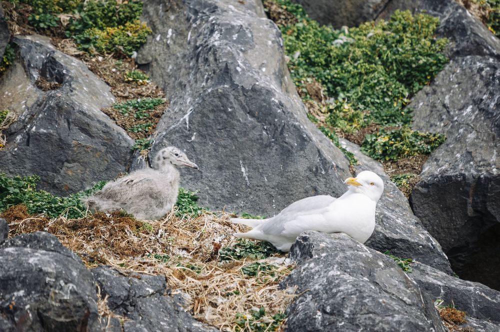 Photograph by Александр Малкин