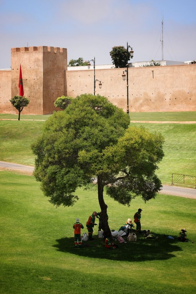 Photograph by Hicham Chraibi