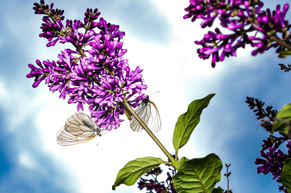 Photograph by Евгений Жуланов