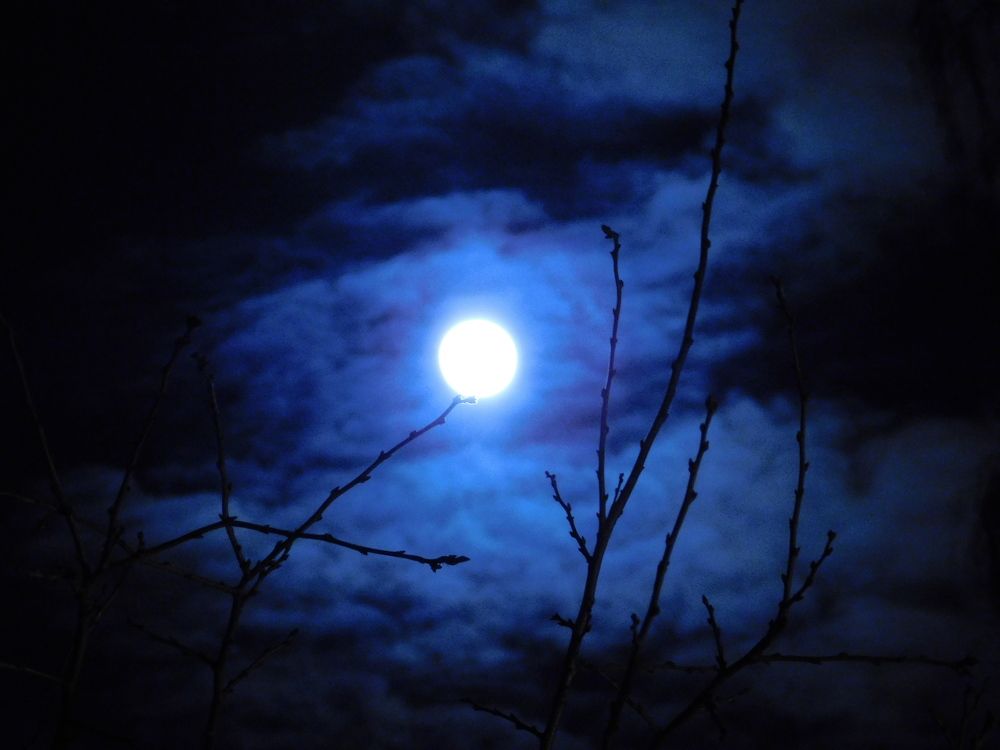 Photograph by Татьяна