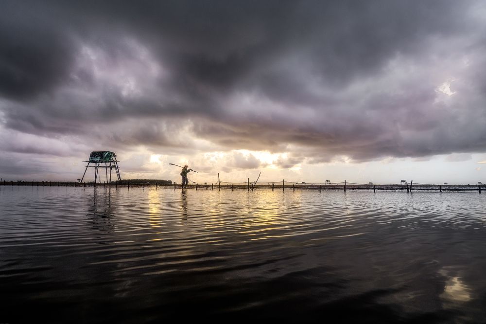 Photograph by Quy Nguyen