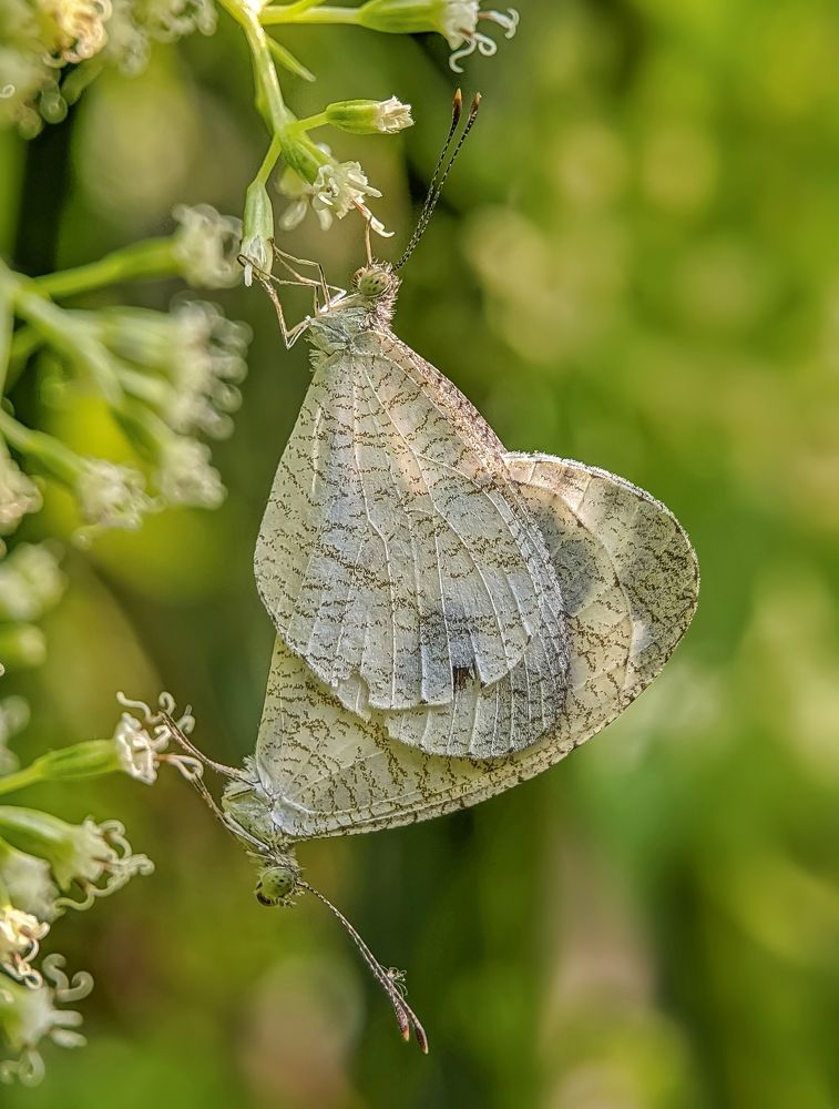 Photograph by INDRANIL MUKHERJEE