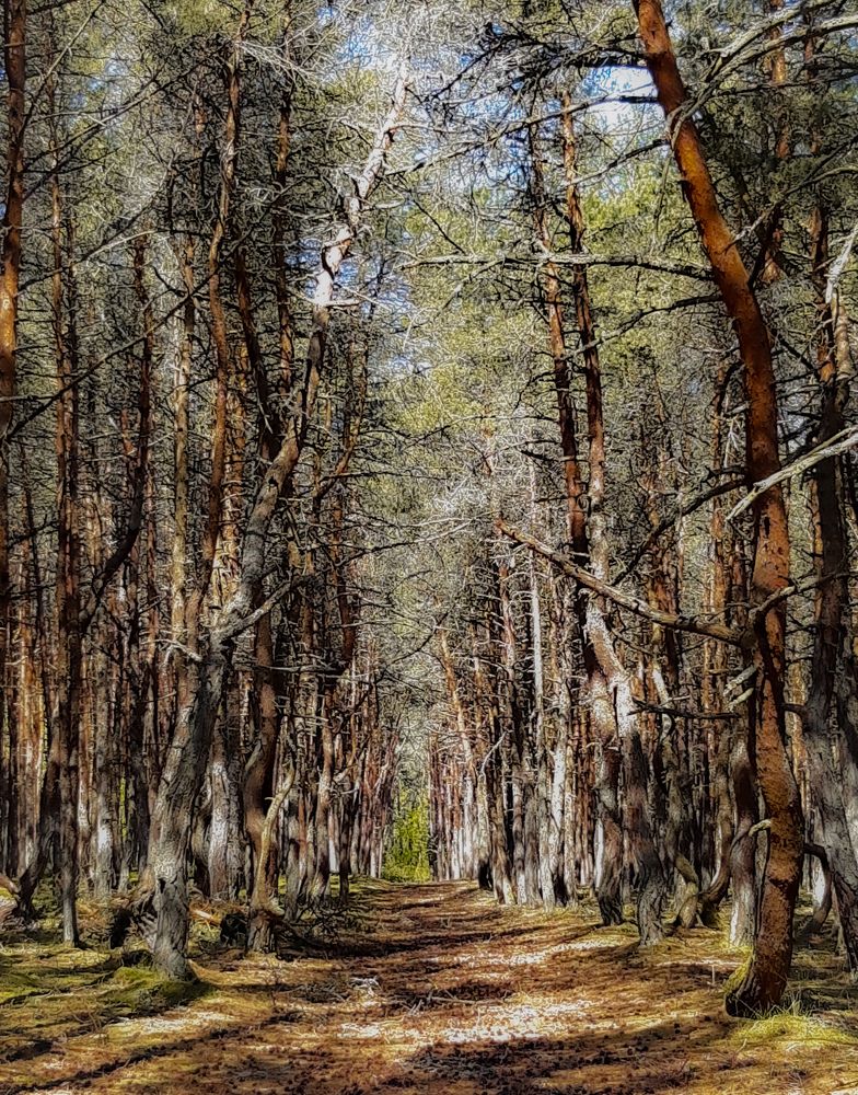 Photograph by Надежда Аксенова