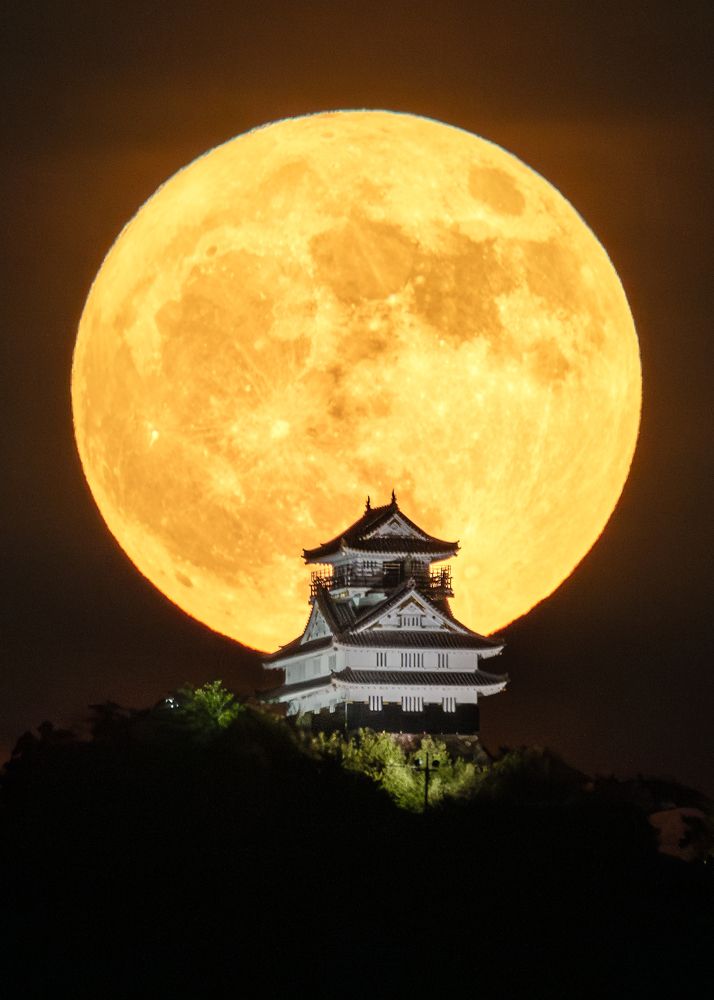 Photograph by Hiroki Matsubara