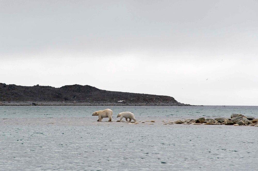 Photograph by Ованес Агарян