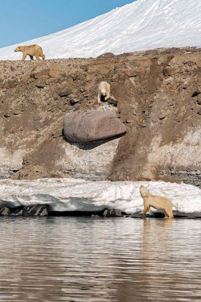 Photograph by Ованес Агарян