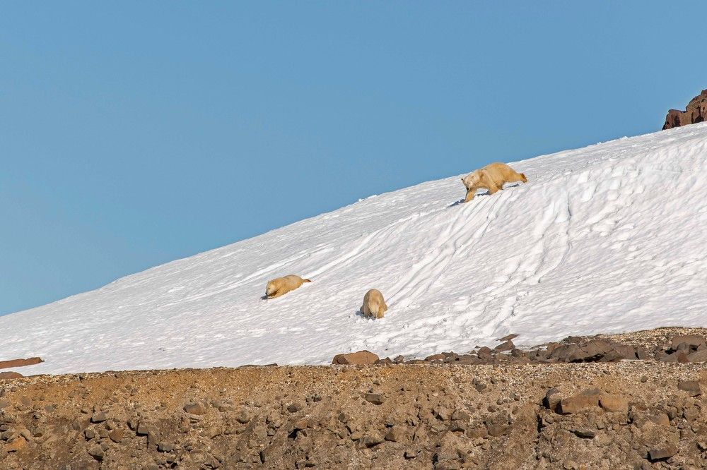 Photograph by Ованес Агарян