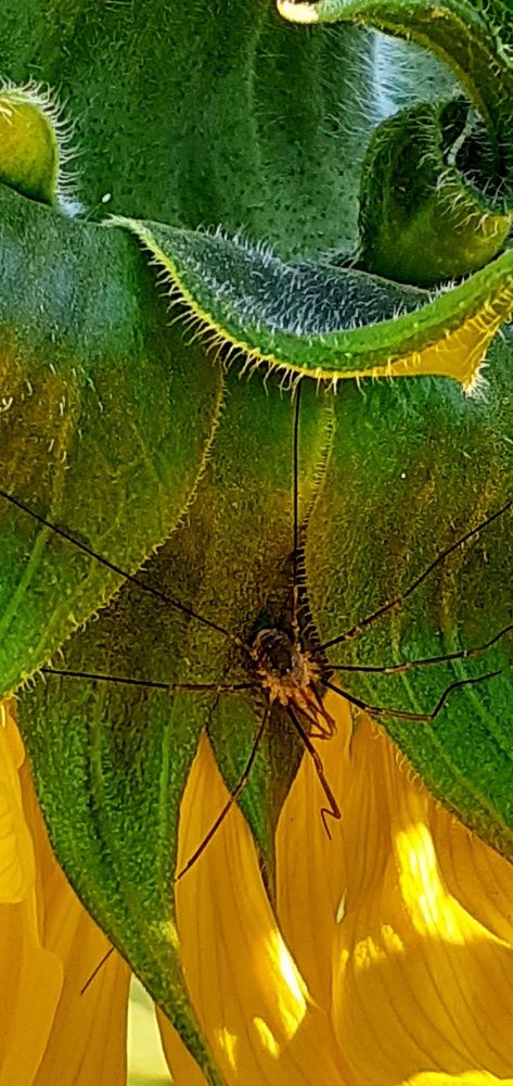 Photograph by Евгения Ульянова