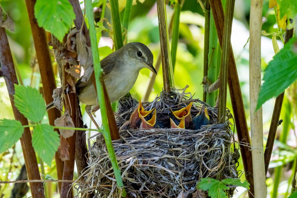Photograph by Андрей Зуев