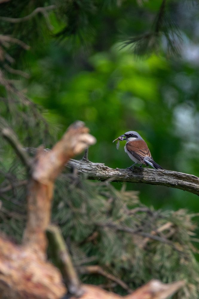 Photograph by Марина