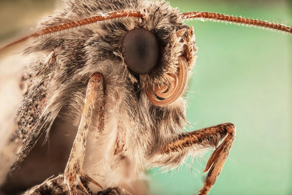 Photograph by Евгений Жуланов