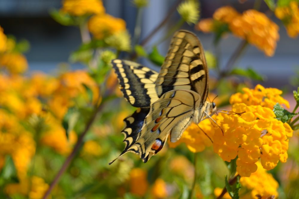 Photograph by Maria Protasevich