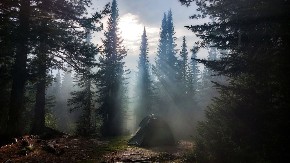 Там на неведомых дорожках