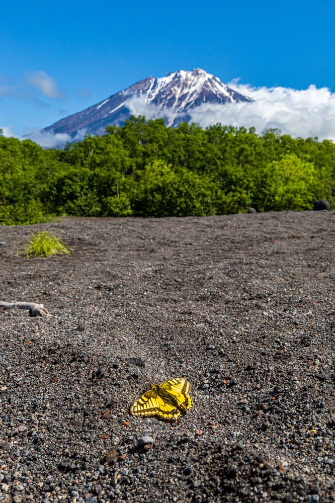 Photograph by Сергей Улыбышев