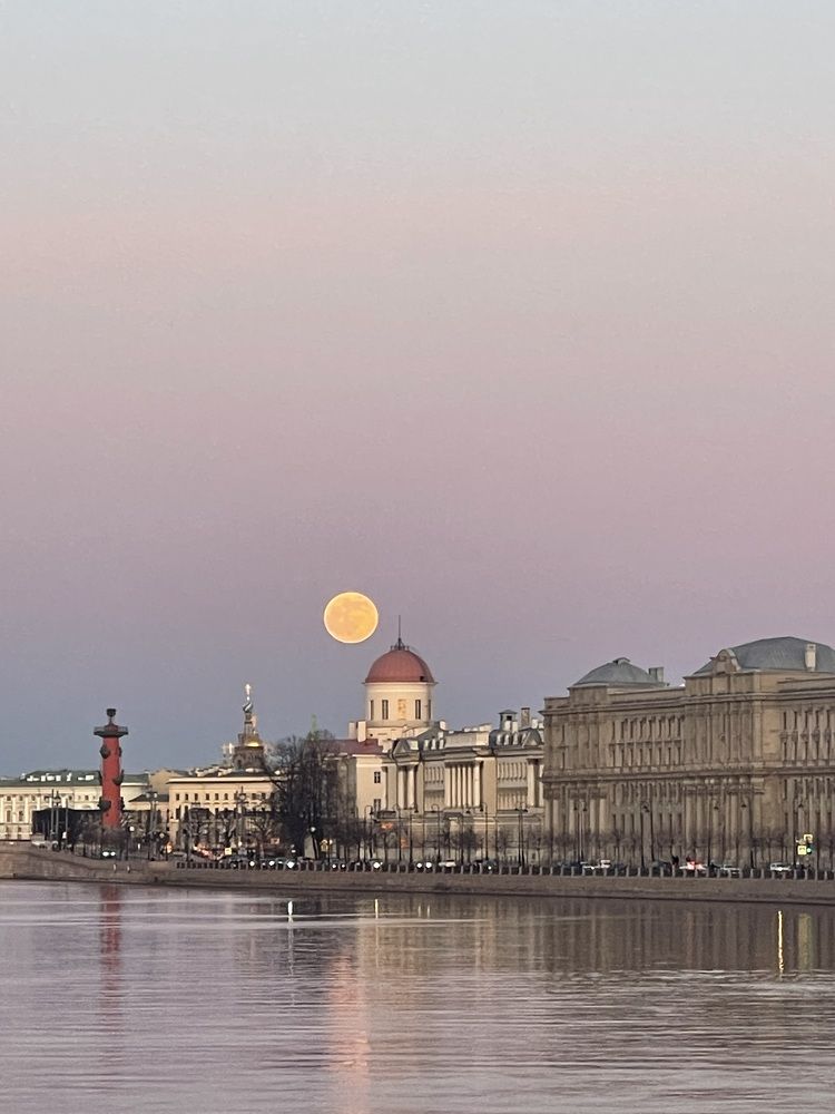 Photograph by Татьяна Пронина