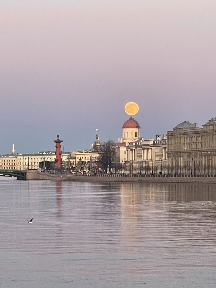 Photograph by Татьяна Пронина