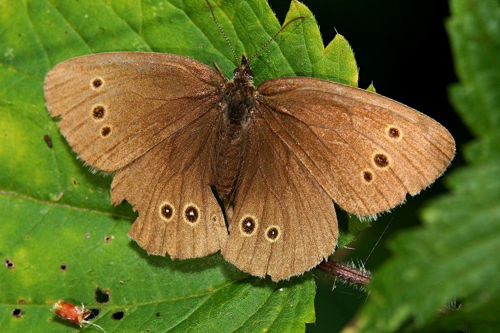 Фотография автора Геннадий Титов