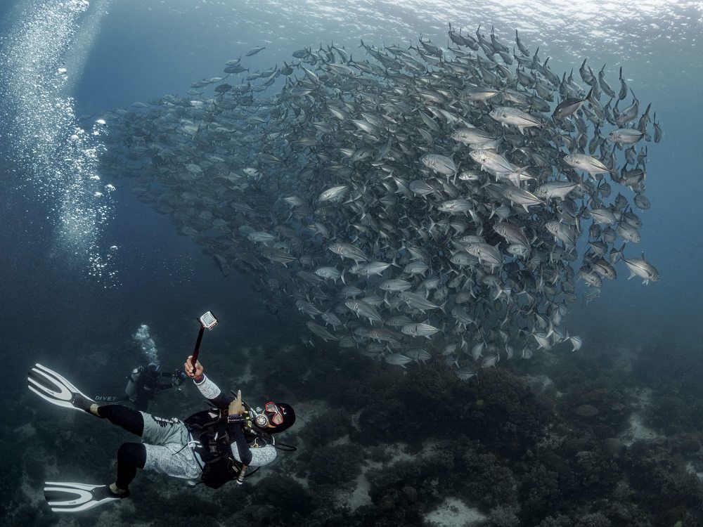 Photograph by Савин Андрей