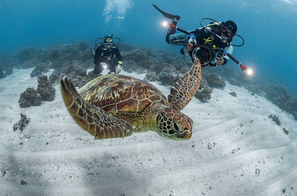 Фотография автора Савин Андрей