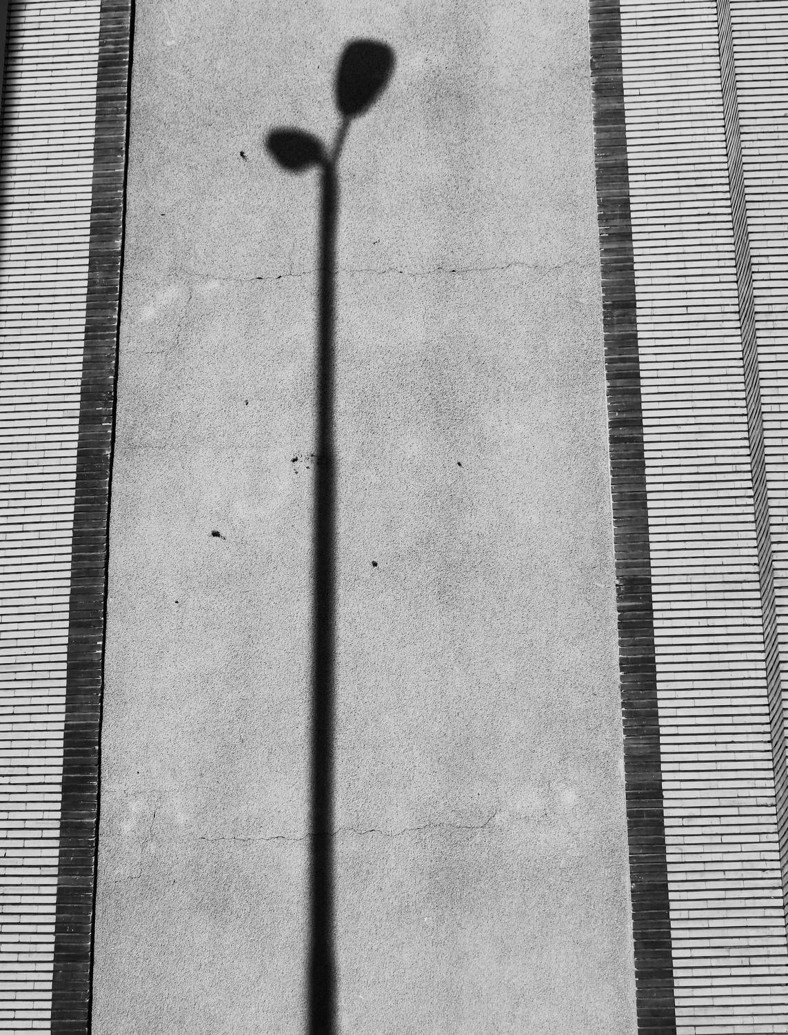shadow