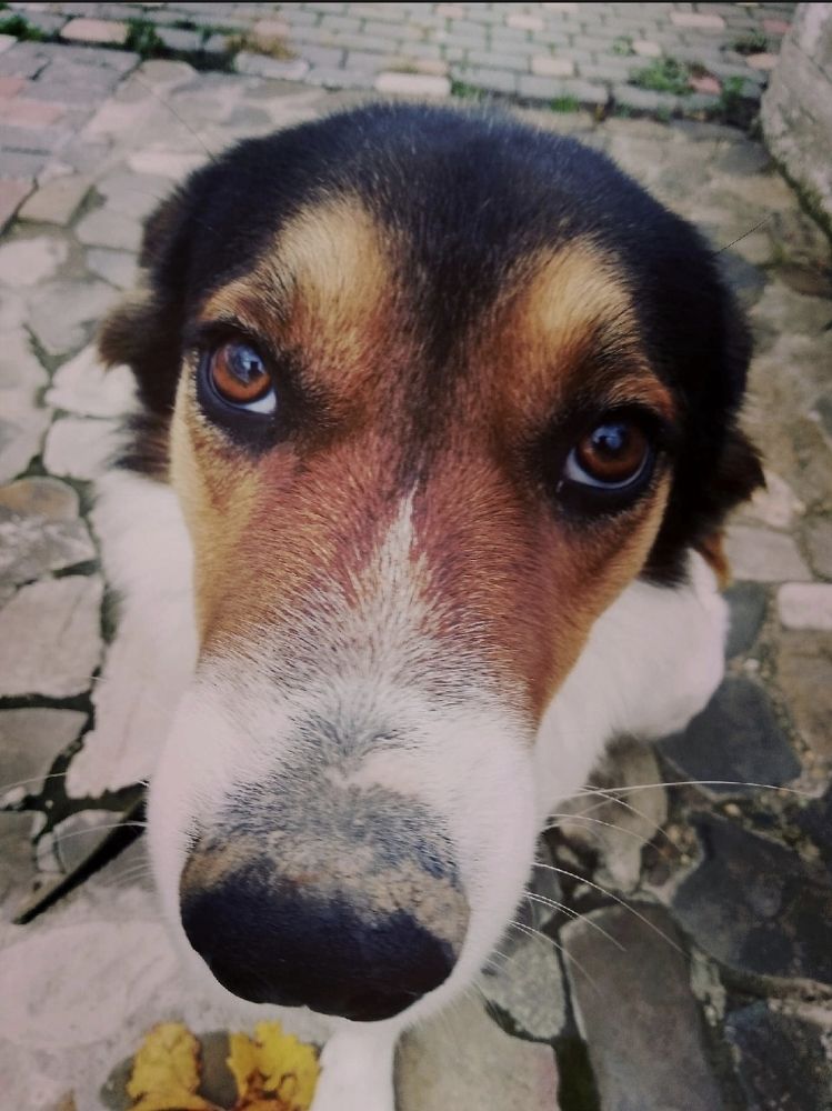 Photograph by Ирина Тихая