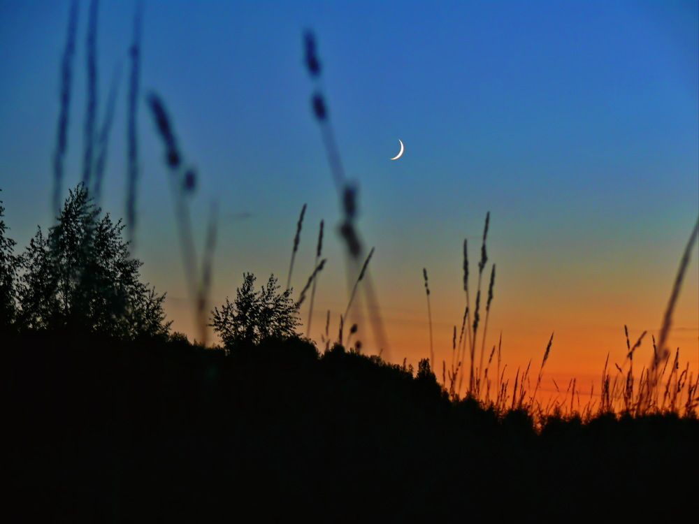 Фотография автора Анатолий Борисов