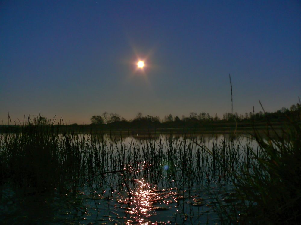 Полнолуние.