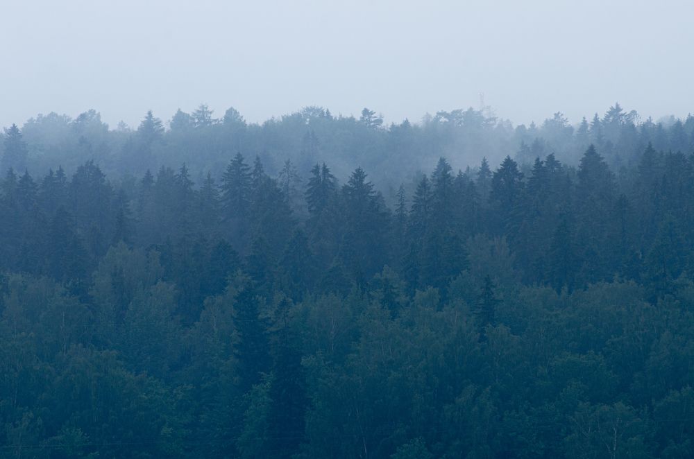Photograph by Ксения Агаркова