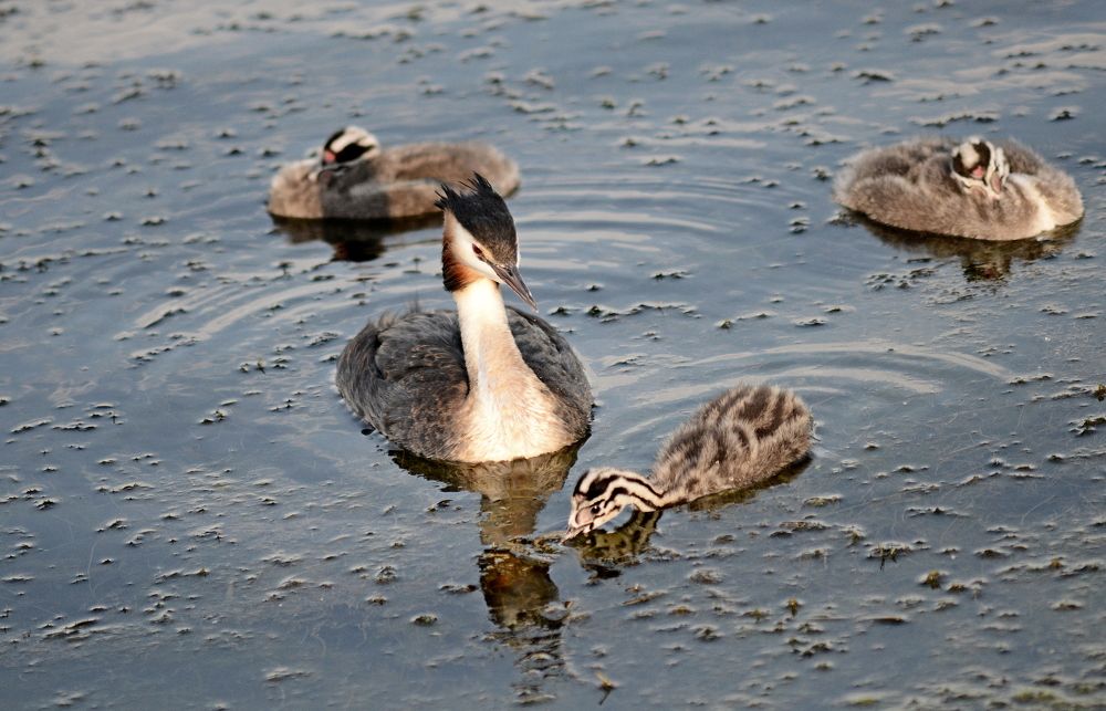 Photograph by Алексей Козлов