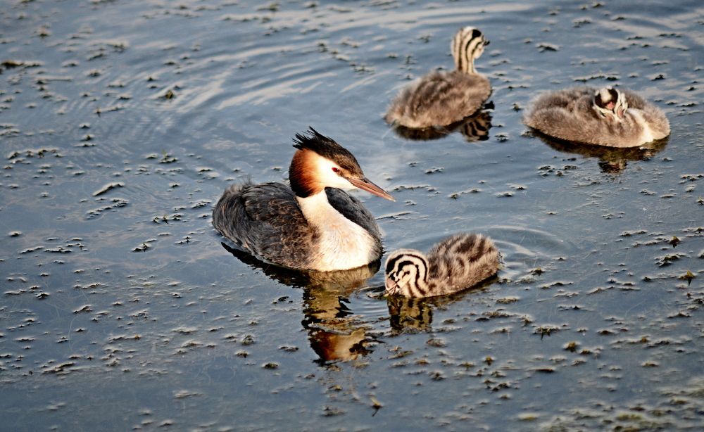 Photograph by Алексей Козлов