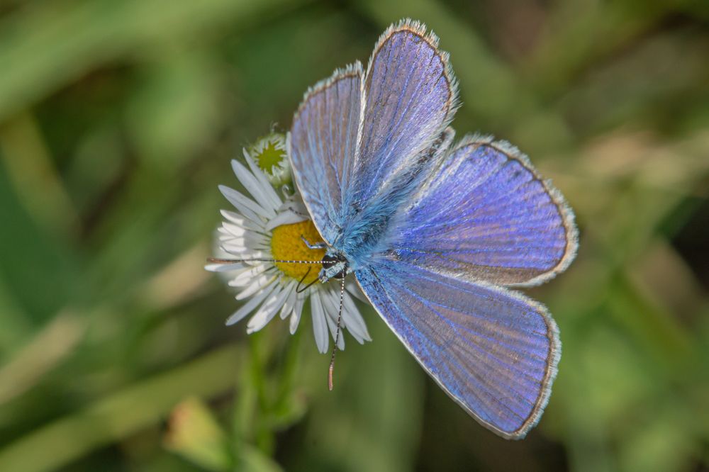 Photograph by Виталий Маслов