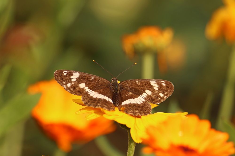 Photograph by Olga Bokareva