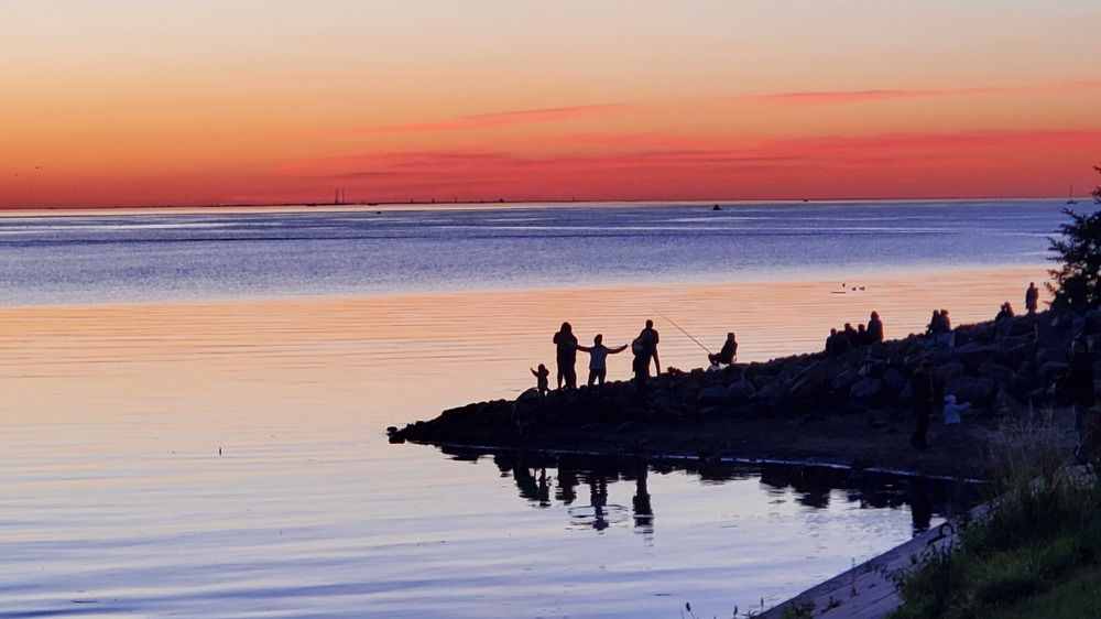 Фотография автора Галина