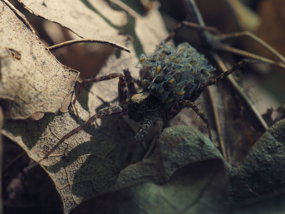 Photograph by Юрий Говорков