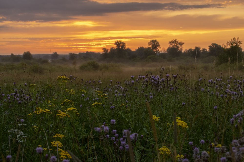 Фотография автора Галина Луценко