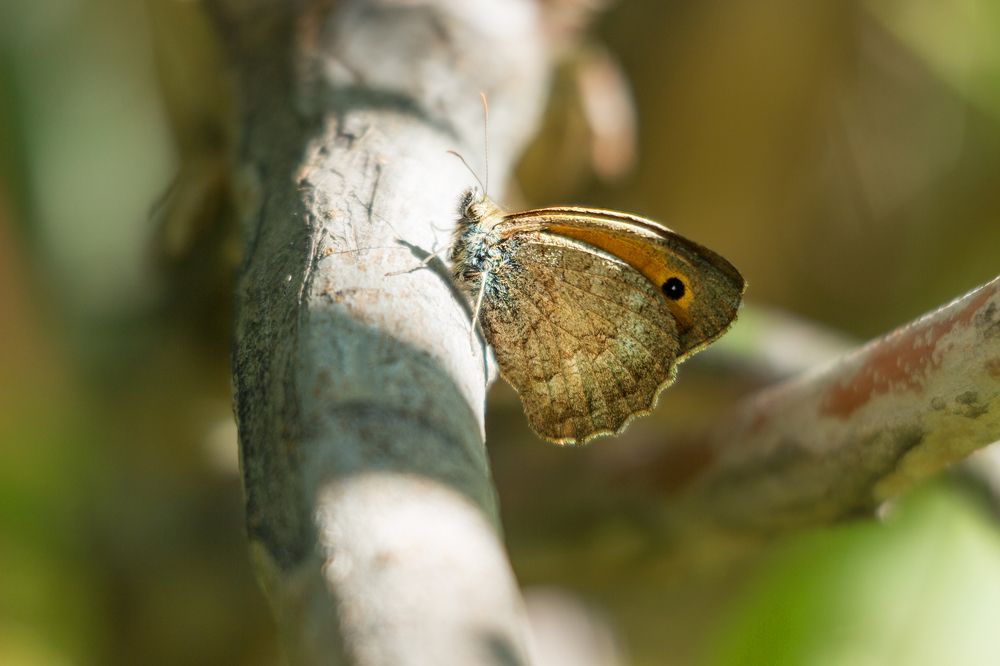 Photograph by Nastya Perekhodkina