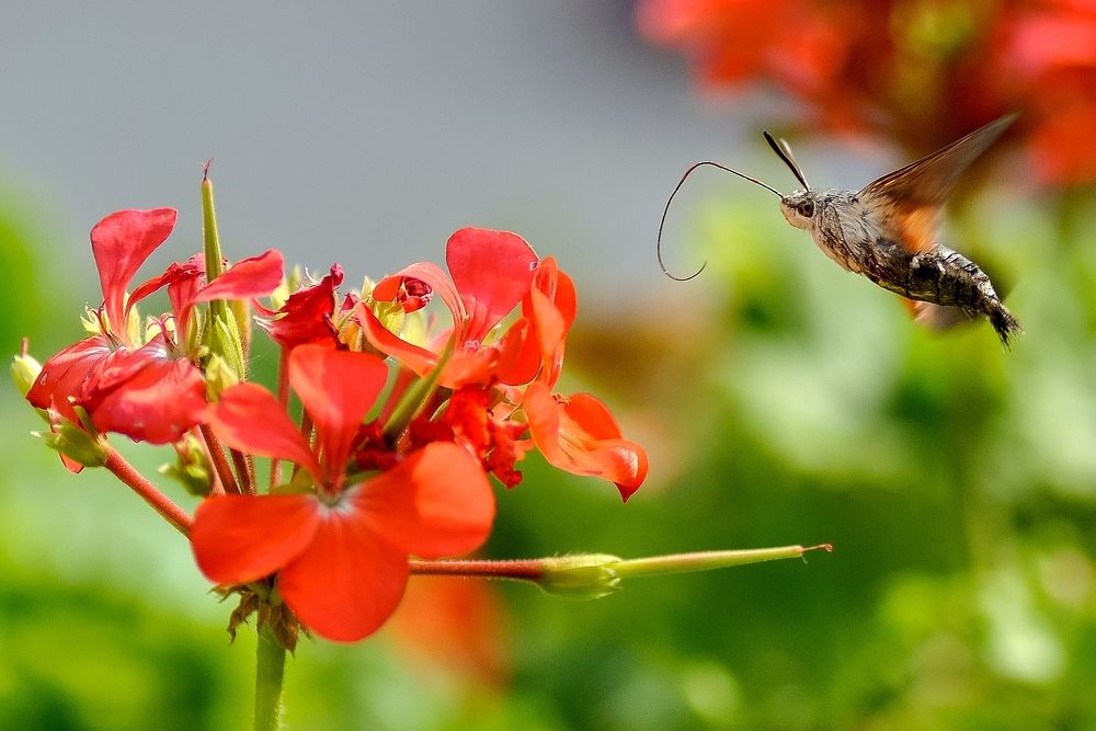 Photograph by Юрий Яковлевич