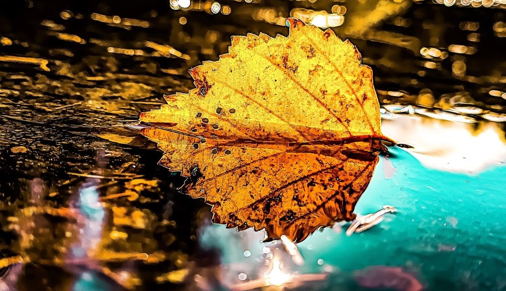 Photograph by Николай Яковлев