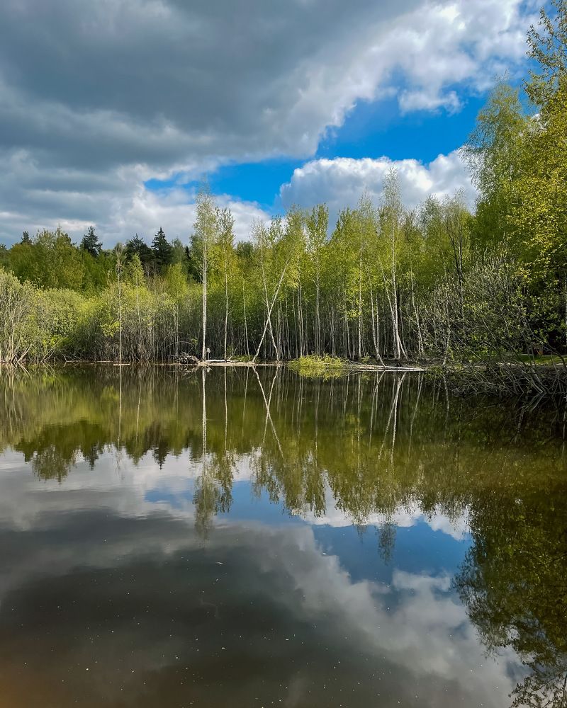 Photograph by Ольга Дорошенко