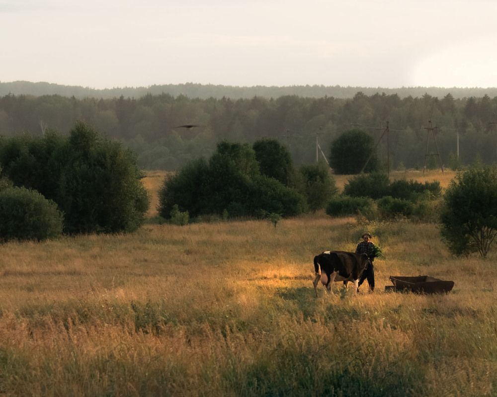 Photograph by Виктория Косинская