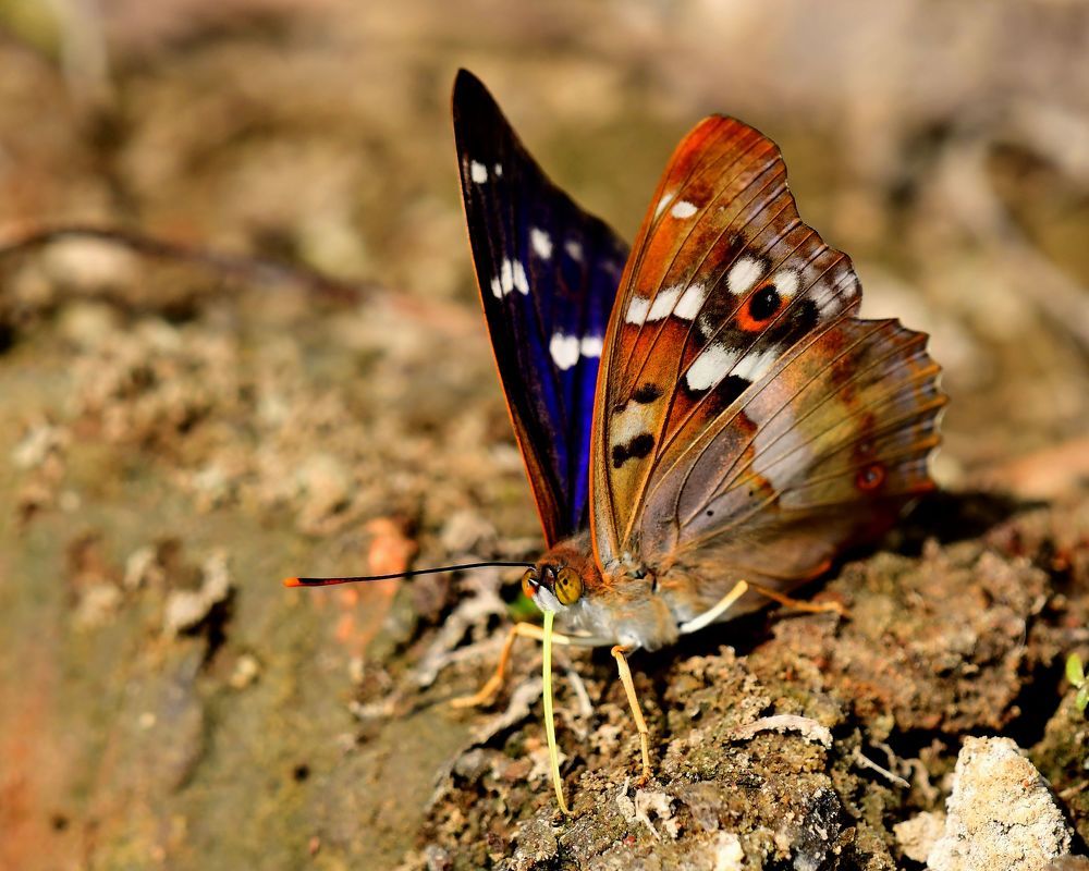 Photograph by Николай Абакумов