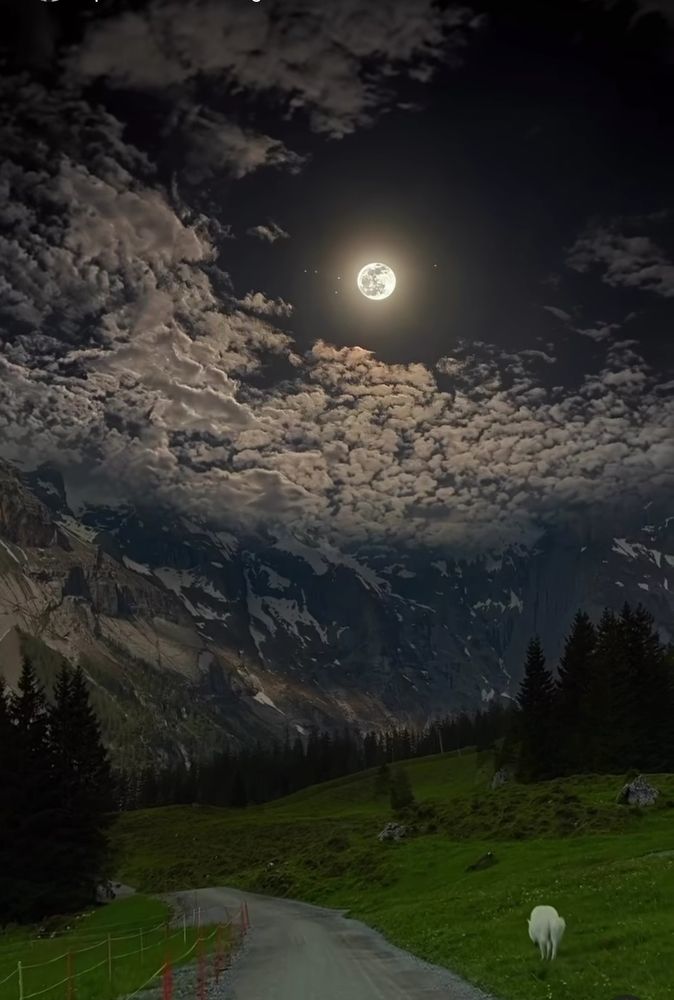 Photograph by Manzoor Ahmad