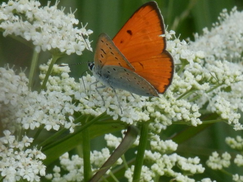 Photograph by Георгий Салюков