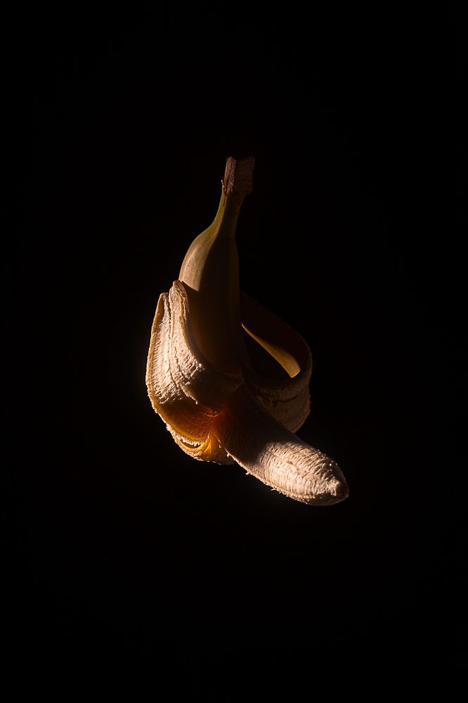 Ребро Адама