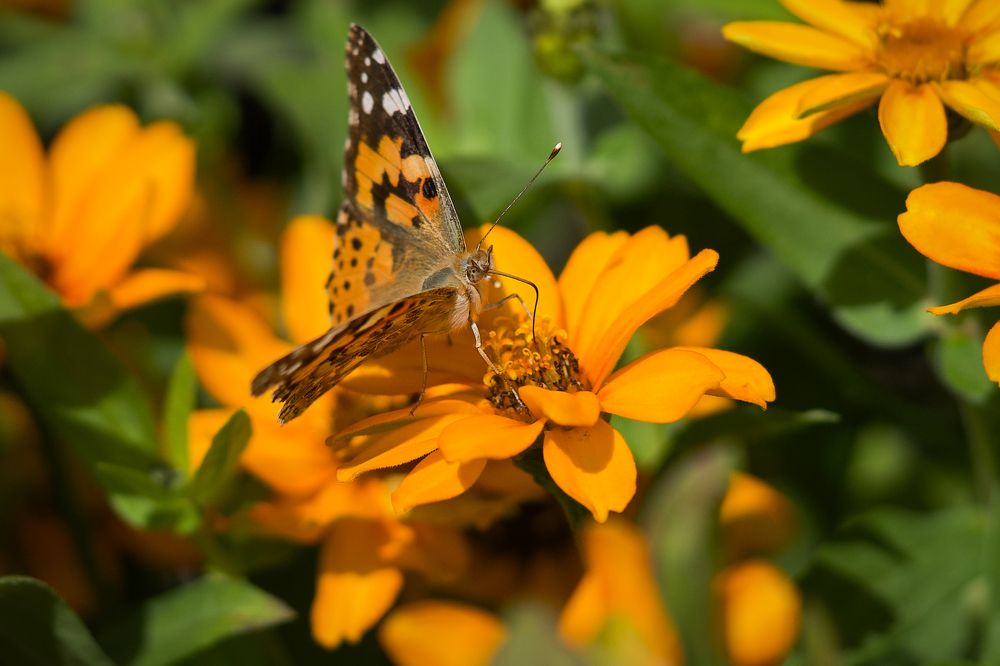 Photograph by Алексей Шевченко