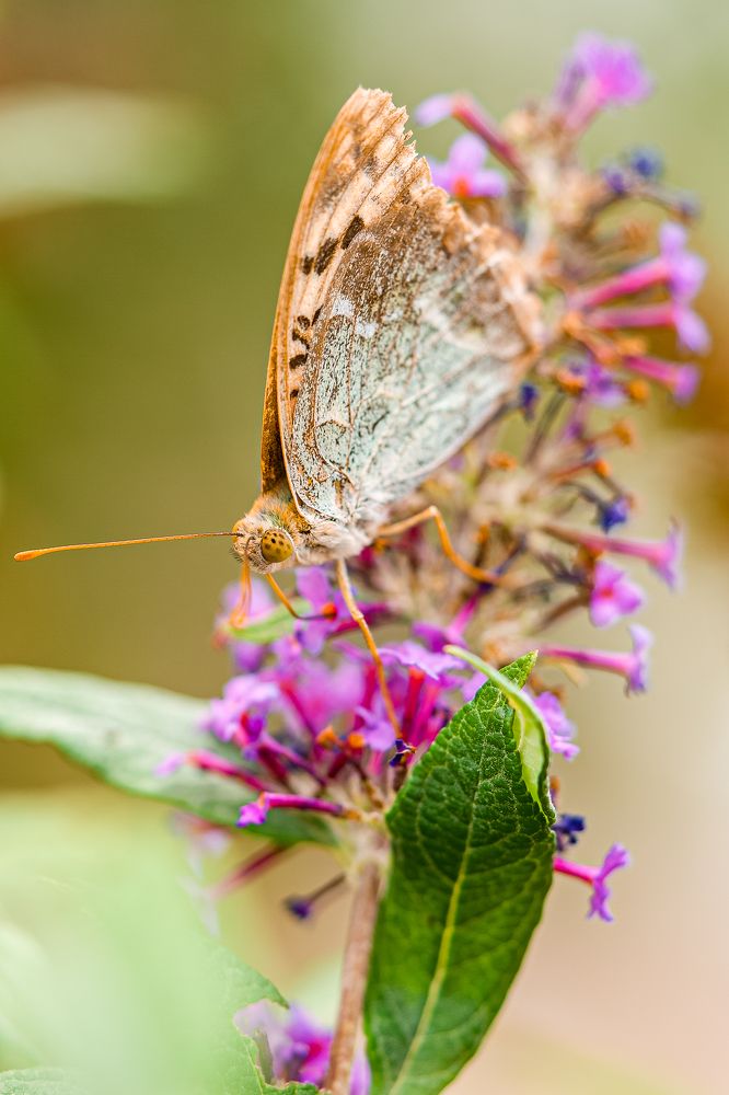 Photograph by Алексей Шевченко