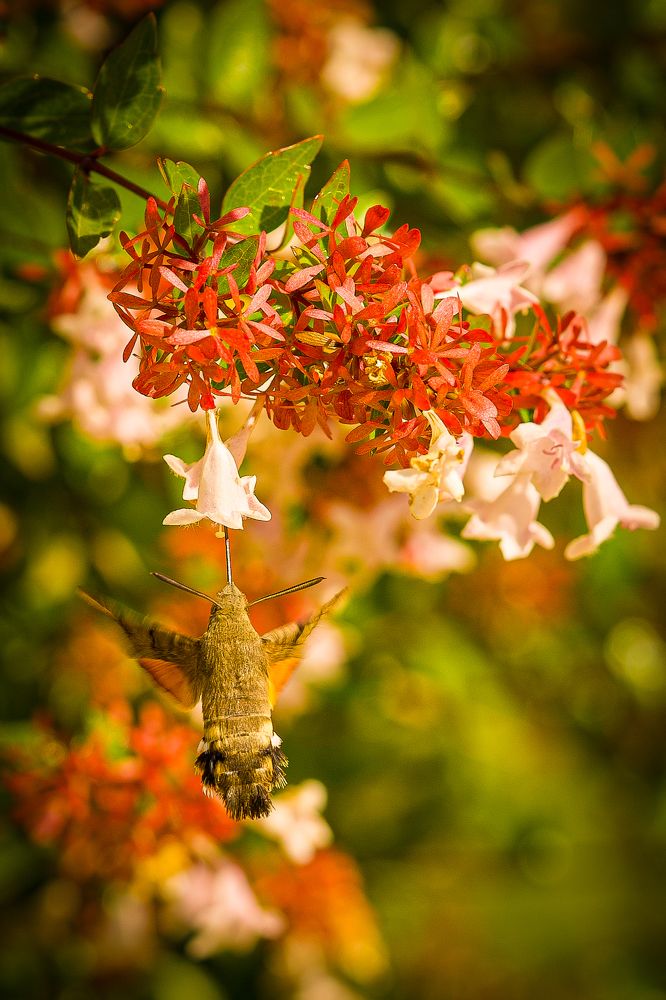 Photograph by Алексей Шевченко