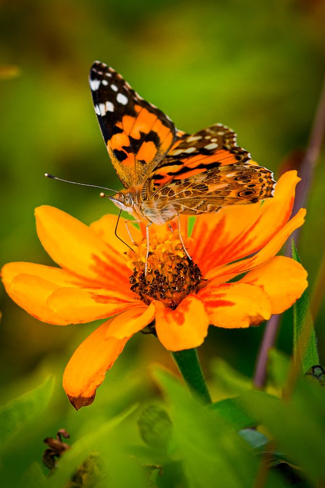 Photograph by Алексей Шевченко